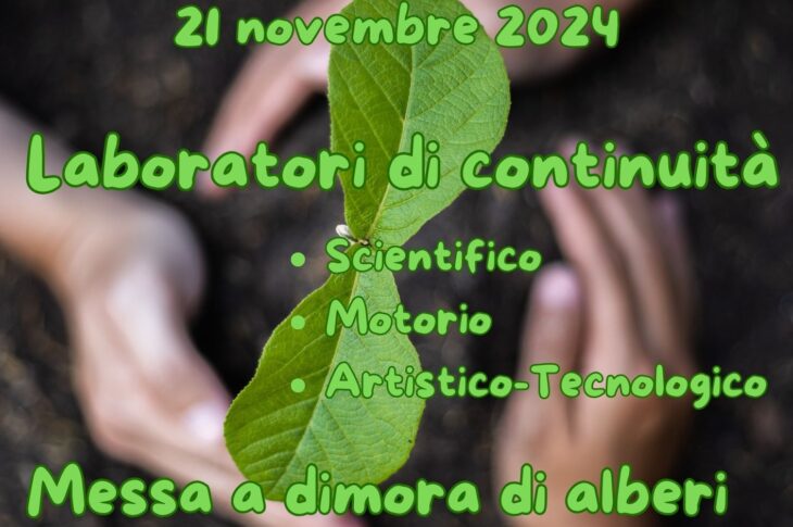 Festa dell Albero_Padula