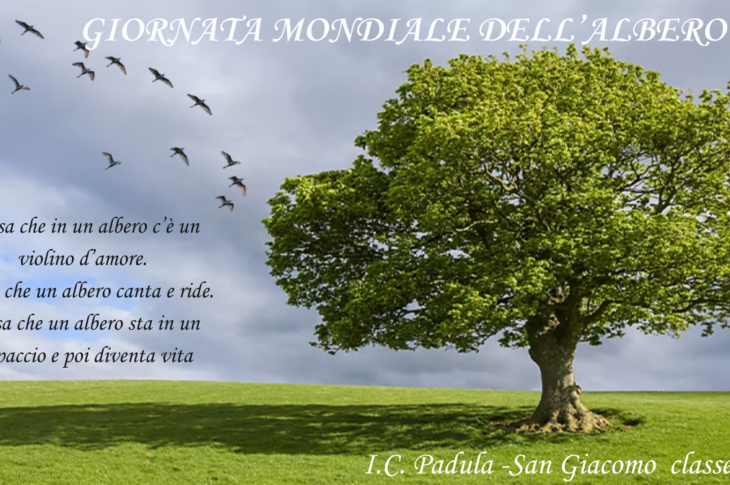 LA GIORNATA DELL'ALBERO_2E